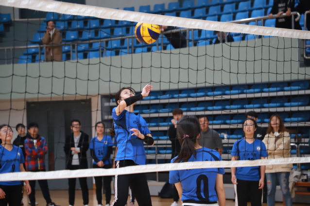 女排比赛 女排比赛