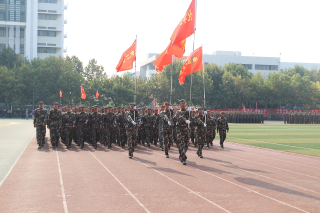 公司军训团掠影  杨意摄影