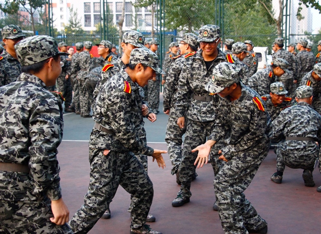 小鸡成长三部曲