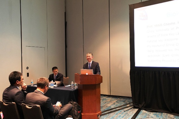 杨朝合经理主席主持会议