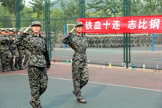 庄严敬礼 庄严敬礼